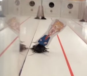 Trump_Roach_300x262-300x262