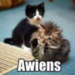 I’ve Seen This Movie