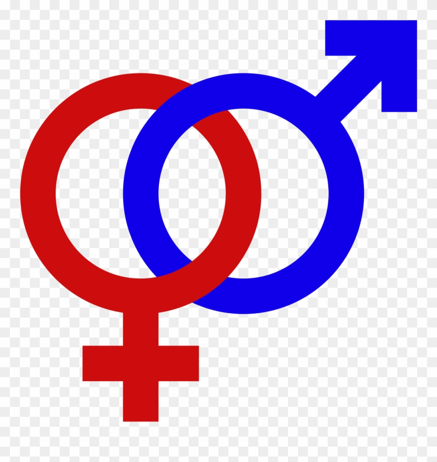 female and male symbols interlinked