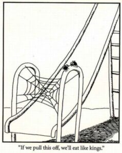 spiderkings