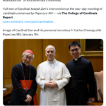 Cardinal Zen Explains it All