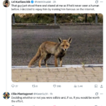 The Eternal Question