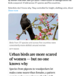 The Female of the Species is Deadlier Than the Male