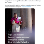 But Don’t Call the Pope Political