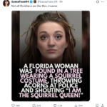 Ultimate Florida Story