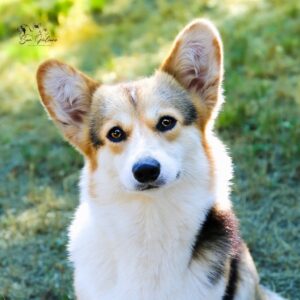 IMG_0315